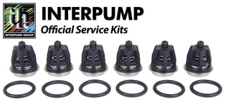 Interpump Kit 1 (Valve Kit)