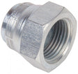 Plated Steel Female Blanking Caps