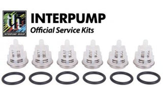 Interpump Kit 123 (Valves)