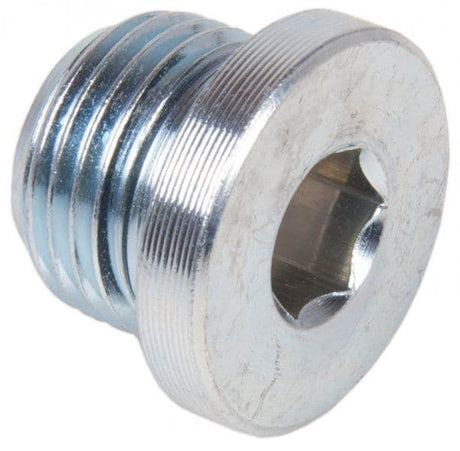 Plated Steel Male Allen Key Plugs & Seal